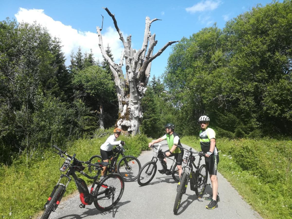 Ferienhof Schaubmeier Klaffer am Hochficht Zewnętrze zdjęcie