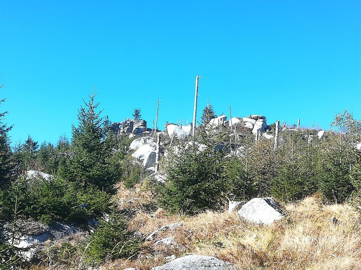 Ferienhof Schaubmeier Klaffer am Hochficht Zewnętrze zdjęcie
