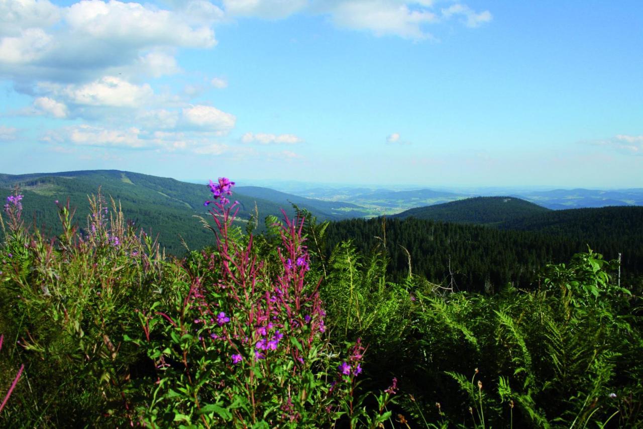 Ferienhof Schaubmeier Klaffer am Hochficht Zewnętrze zdjęcie